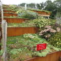 DSC02707